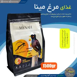 غذای مرغ مینا و پرندگان حشره خوار لوکا