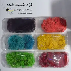 خزه تثبیت شده دیسکس یا خزه ریندر سبز