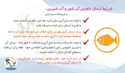 ماهی پولی آلبینو سنگال آب شیرین