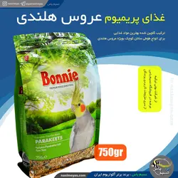 غذای عروس هلندی و طوطی سانان کوچک بونی
