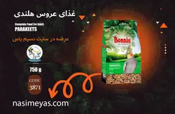 غذای عروس هلندی و طوطی سانان کوچک بونی