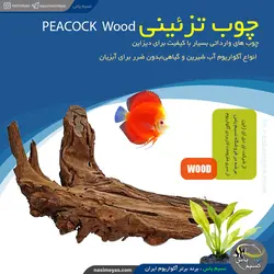 چوب تزئینی آکواریوم مدل پیکاک وود ای دی ای ADA