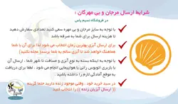 حلزون آب شور