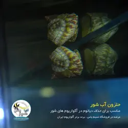 حلزون آب شور