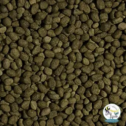 گرانول اسپیرولینا لارج ماهی کوی ۷ کیلوگرم تروپیکال