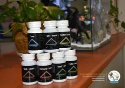 باکتر بوست آکواریوم پلنت اسکای شریمپ