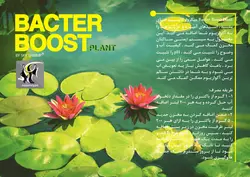 باکتر بوست آکواریوم پلنت اسکای شریمپ