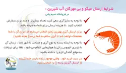 کامبارلوس نارنجی یا خرچنگ مینیاتوری آب شیرین