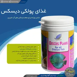 غذای پولکی دیسکس خوراک سازان
