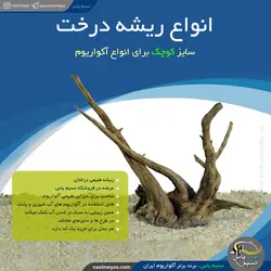 ریشه درخت طبیعی سایز کوچک دیزاین آکواریوم