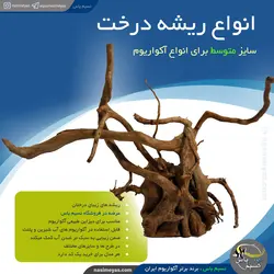 ریشه درخت طبیعی سایز متوسط دیزاین آکواریوم