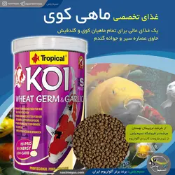 گرانول کوی با جوانه گندم و عصاره سیر اسمال 7 کیلوگرم تروپیکال