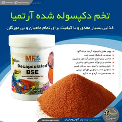 تخم آرتمیا دکپسوله شده 200 گرم ام اف آکوا