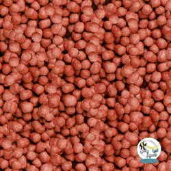 غذای گرانول کوی رویال متوسط ۱۰۰۰ میل سرا