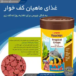 غذای کف خواران ویپا چیپس 100 میل سرا
