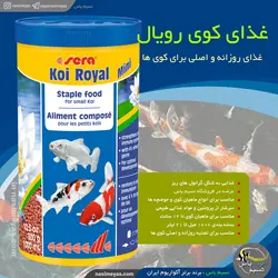 غذای گرانول کوی رویال مینی ۱۰۰۰ میل سرا