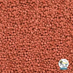 غذای گرانول کوی رویال مینی ۱۰۰۰ میل سرا