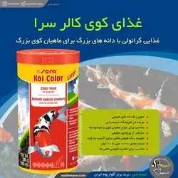 غذای گرانول کوی کالر بزرگ ۱۰۰۰ میل سرا