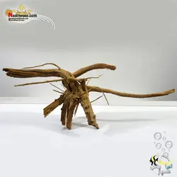 ریشه درخت طبیعی جهت دیزاین آکواریوم شماره ۱