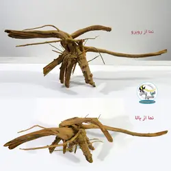 ریشه درخت طبیعی جهت دیزاین آکواریوم شماره ۱