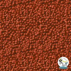 غذای روزانه گلدی گران گلدفیش سرا