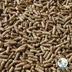 استیک پوند گرانولت کوی های بزرگ ۱۰۰۰ میل سرا