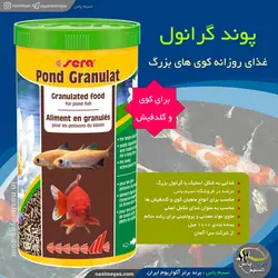 استیک پوند گرانولت کوی های بزرگ ۱۰۰۰ میل سرا