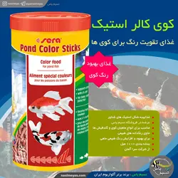 غذای رنگ کوی کالر استیک ۱۰۰۰ میل سرا