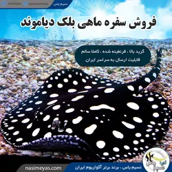 سفره ماهی بلک دایموند آب شیرین