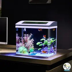 آکواریوم آماده با سنسور دما CR-460 چانگ رویی