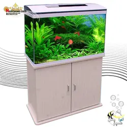 آکواریوم کامل با سنسور دما CR-M820 چانگ رویی