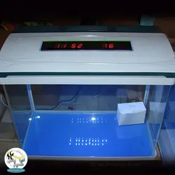 آکواریوم آماده با سنسور دما CR-360 چانگ رویی