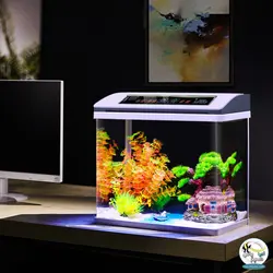 آکواریوم آماده با سنسور دما CR-260 چانگ رویی