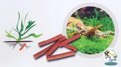 کود میله ای گیاهان روت استیک ایزی لایف