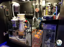 پروتئین اسکیمر EC15 با پمپ DC آکوا اکسل