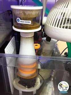 پروتئین اسکیمر EC15 با پمپ DC آکوا اکسل