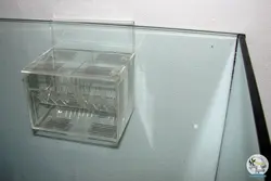 زایشگاه ، پرورشگاه و قرنطیه ماهی بریدینگ باکس ۳ در ۱ ام اف آکوا