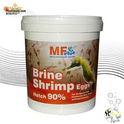 تخم آرتمیا درجه یک ۶۰۰ گرم ام اف آکوا