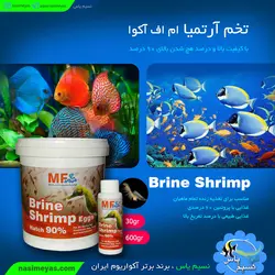 تخم آرتمیا درجه یک ۶۰۰ گرم ام اف آکوا