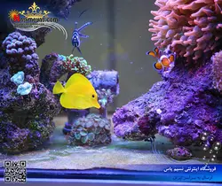 نور ال ای دی آب شور A001 مدل ۳۰ سانرایز