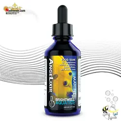 محلول تقویتی آمینو اسید آزاد غذای ماهی برایت ول