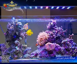 نور ال ای دی آب شور A001 مدل ۶۰ وای فای سانرایز