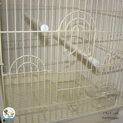 قفس پرنده کرم رنگ کد ۱۹۰۲ دایانگ
