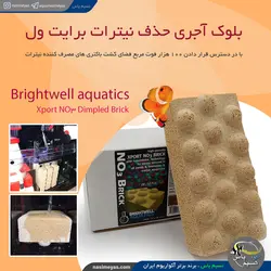 بلوک آجری حذف نیترات اکسپورت NO3 بریک برایت ول