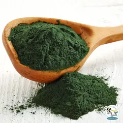 پودر اسپیرولینا طبیعی آبزیان سوباشی