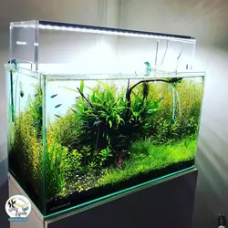 نور ال ای دی ۶۰ سانت دوبل آکواریوم گیاهی آکوا سان