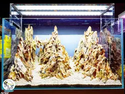 نور ال ای دی ۶۰ سانت دوبل آکواریوم گیاهی آکوا سان