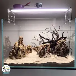 نور ال ای دی ۶۰ سانت دوبل آکواریوم گیاهی آکوا سان