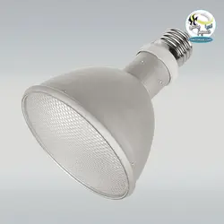 لامپ همه کاره نور ، یو وی و گرما تراریوم صحرایی جی بی ال