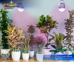نور ال ای دی گیاهان آپارتمانی و گلخانه ۱۲ وات آتلانتیک